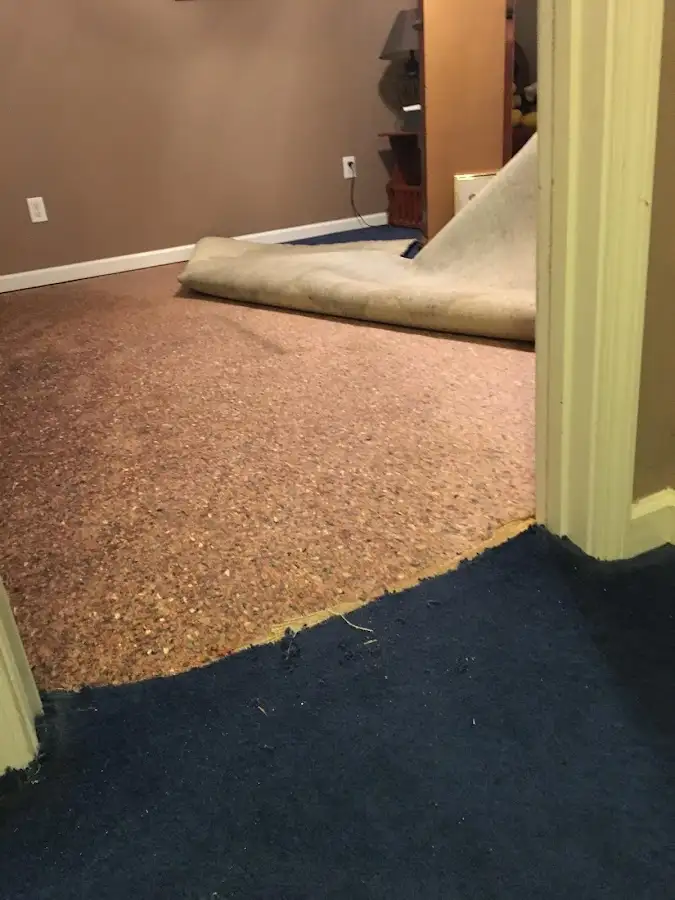 Carpet pad removal revealing water damage during Drying & Dehumidification in Bethany